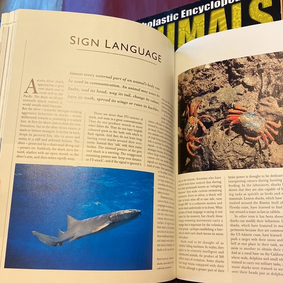 Books:Scholastic Encyclopedia ANIMALS & Reader’s Digest INTELLIGENCE IN ANIMALS - Picture 7 of 16